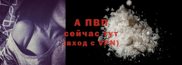 гидра Майский